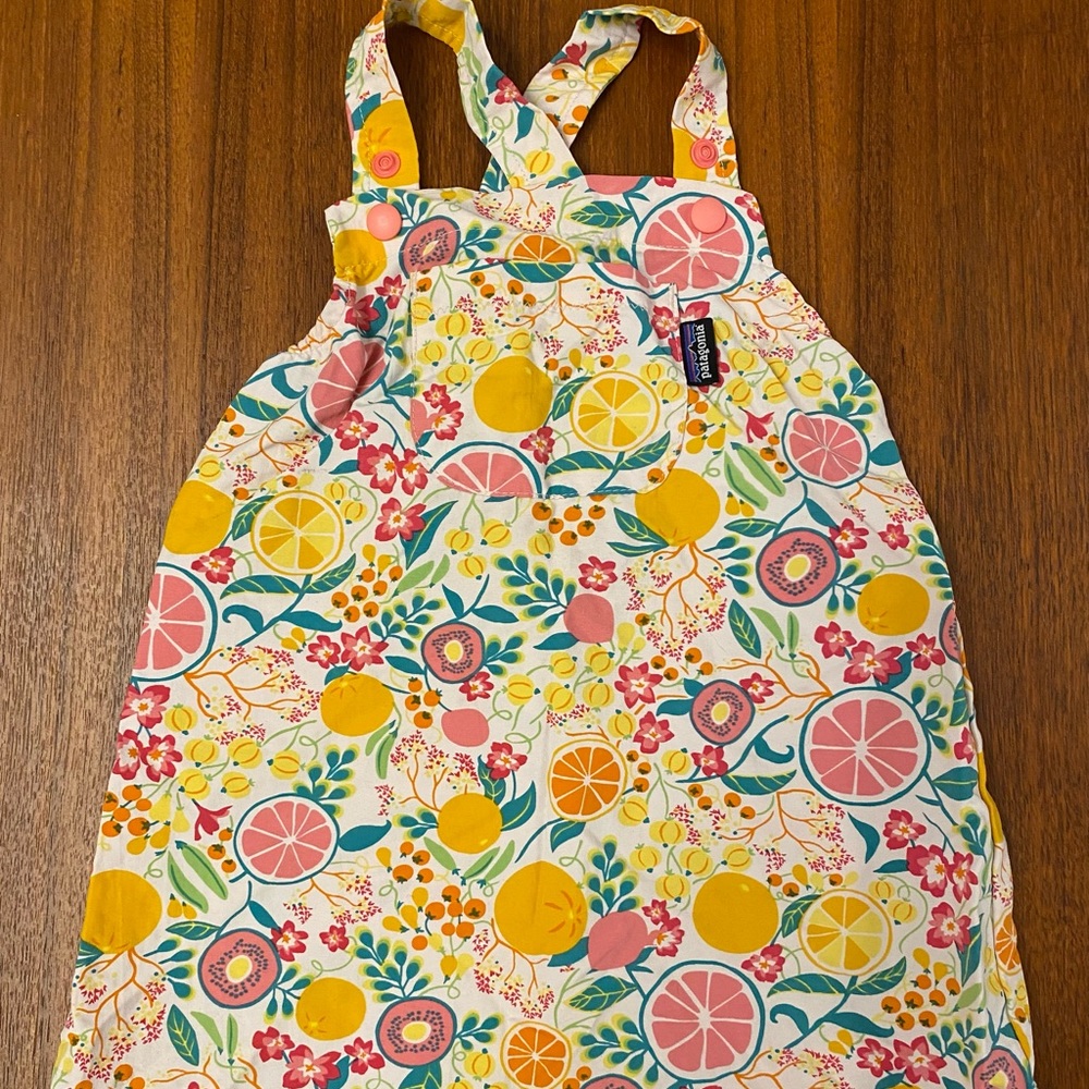 Baby Girl Patagonia Sun Dress 18 months